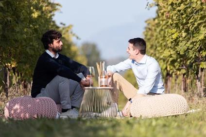 Picnic d'Autore in vigneto: l'Essenza del Lago di Garda a Lazise 17